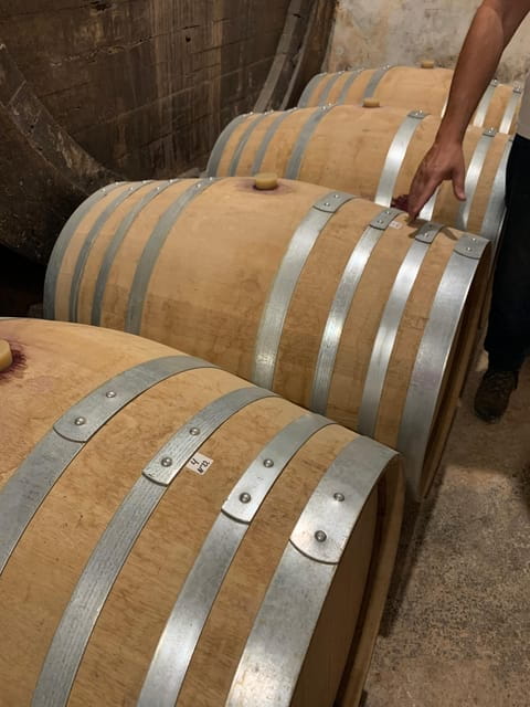 Private tour: Wine and tapas, experience real Mallorca - Exploring the Mallorca Wine & Tapas Private Tour