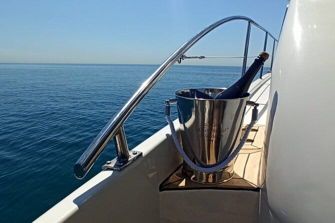 Private Tour with Navigation and Visit to Alella Vineyards - Price and Logistics: Is It Worth It?