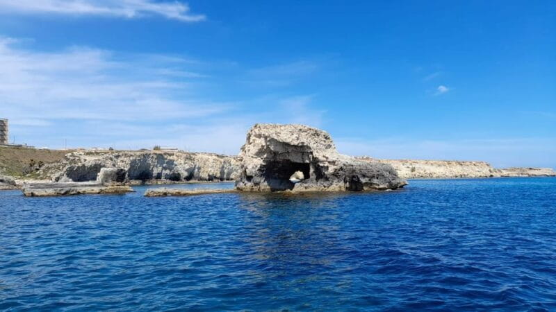 Private tour with seafood products and full beverage. - The Sum Up