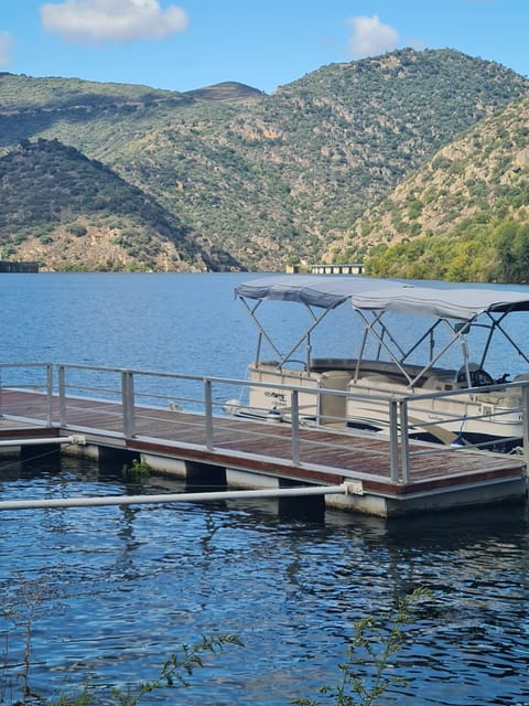 Private tours and transport amazing for you at DOURO Valley - Key points / Takeaways