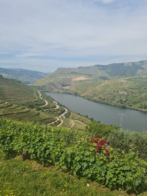 Private tours and transport amazing for you at DOURO Valley - Why This Tour Offers Value and Authenticity