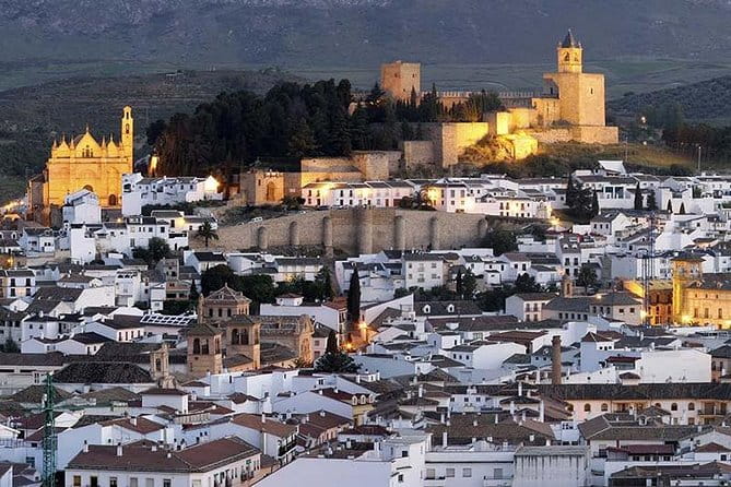 Private tours from Malaga to Antequera and the Dolmens for up to 8 persons - Key points / Takeaways