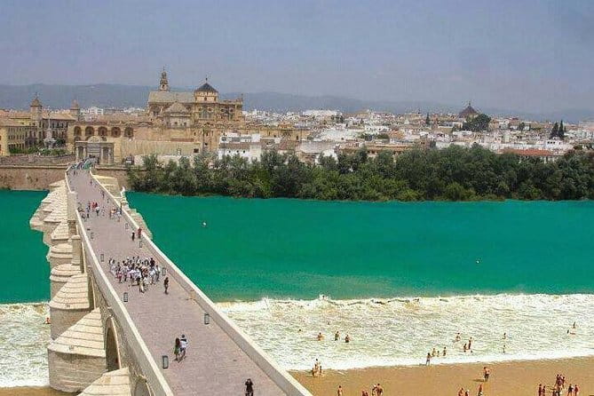 Private tours from Malaga to Cordoba and the Mezquita for up to 8 persons - Key points / Takeaways