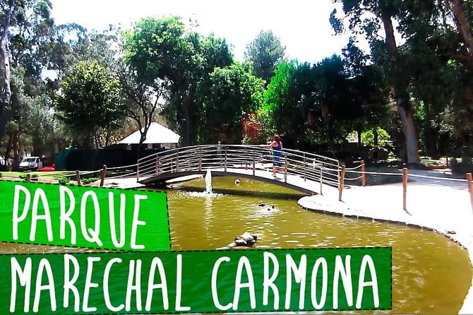 Private Transfer Aeroporto Lisboa - Cascais - Who Should Book This Experience?