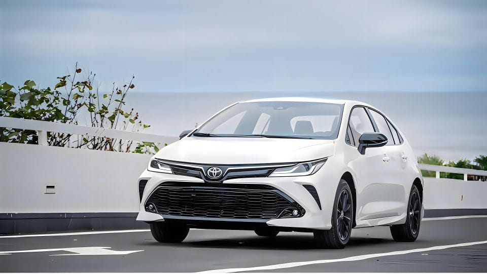 Private Transfer: Between Downtown Paris and Disney - Convenience and Flexibility