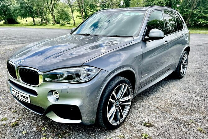 Private Transfer between SHANNON & CORK | Premium Vehicles - Who is This Transfer Best For?