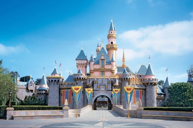 Private Transfer: Disneyland Park or Hotel to Paris by Luxury Van - Who Is This Transfer Best For?