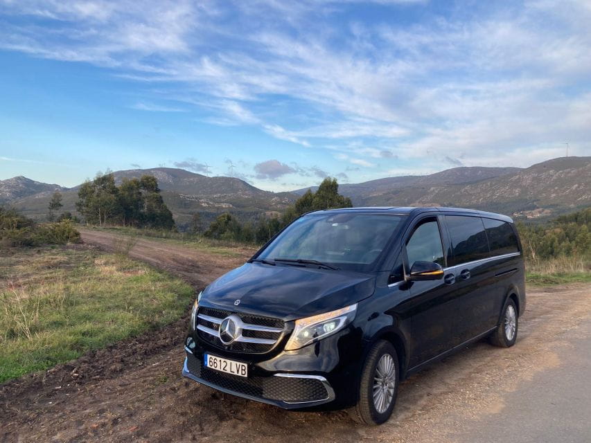 Private Transfer From Granada Downtown to Malaga Airport (Agp) - Booking and Payment