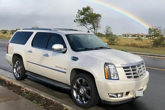 Private Transfer From Muroran Cruise Port to Sapporo Airport(CTS) - Accessibility