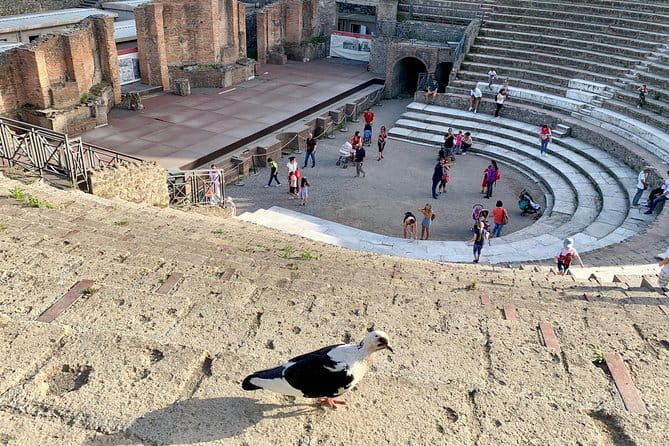 Private transfer from Naples to Sorrento with stop in Pompeii - The Sum Up