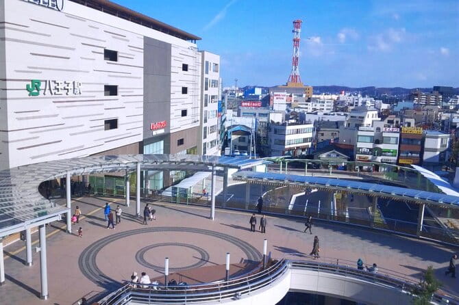 Private Transfer From Narita Airport to Prince Hachi City Japan - Accessibility and Participation