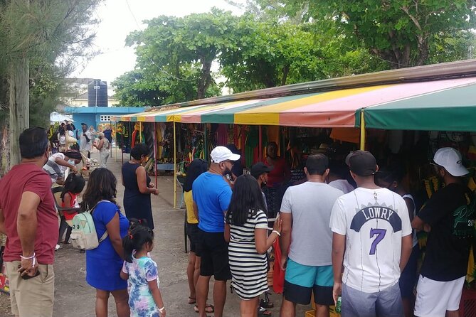 Private Transfer From Norman Manley Airport to Kingston One Way - Transportation Details