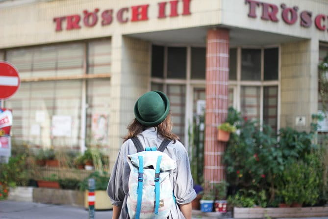 Private transfer from Salzburg to Vienna, 2 hours for sightseeing - Who Will Love This Experience