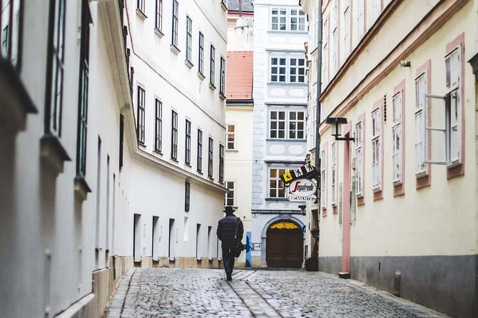 Private transfer from Salzburg to Vienna with 4h of Sightseeing - Who This Experience Suits Best