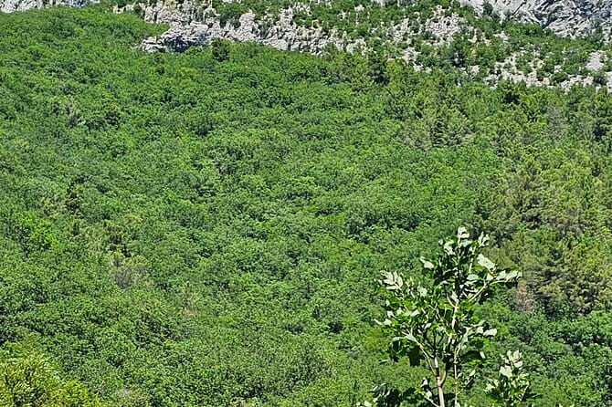 Private Transfer from Split Croatia Airport to Hotel - FAQ: Practical Questions About the Transfer