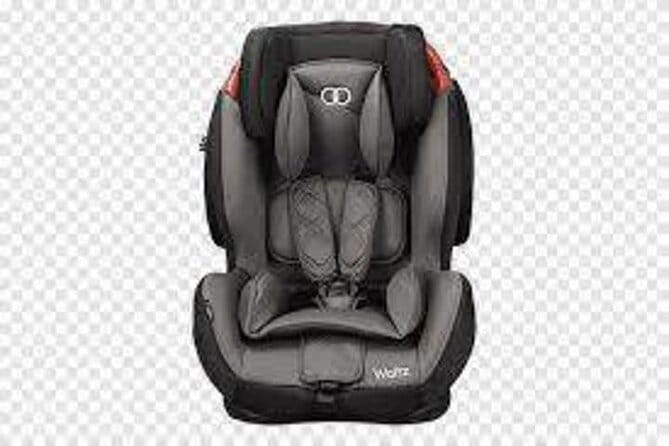 Private transfer from/to CDG, ORLY airports  DISNEYLAND - What Makes This Transfer Stand Out?