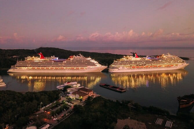 Private Transfer From Yokohama Cruise Port to Narita Airport NRT - Transportation Options