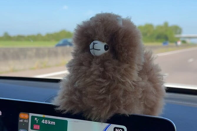 Private Transfer Paris from and to Airport (CDG, Orly, Beauvais) - A Review of the Private Paris Airport Transfer Service