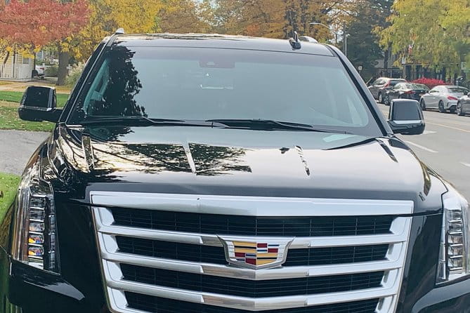 Private Transfer: Toronto Pearson Airport or Mississauga City Black Car Service - Luggage and Accessibility