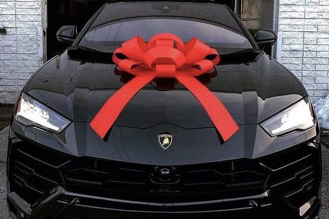 Private Transfer: Toronto Pearson Airport or Mississauga City Black Car Service - Service and Amenities