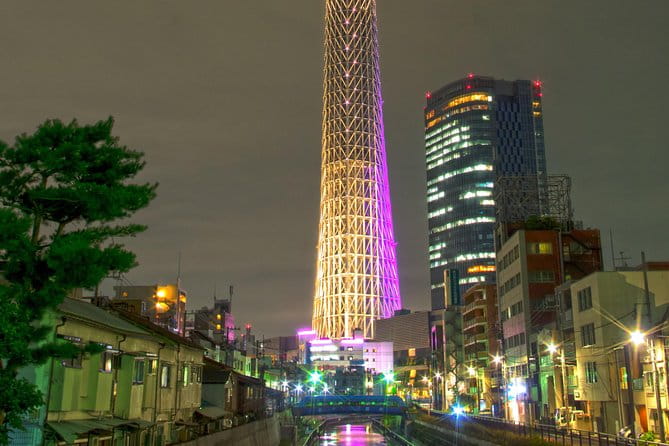 Private Transport 1 Day Tokyo Tour - Accessibility and Restrictions