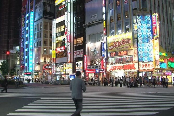 Private Transport 1 Day Tokyo Tour - Driver Experience and Tour Expectations