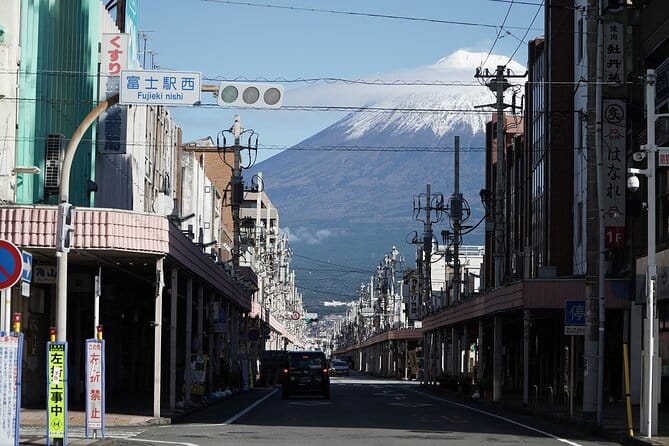 Private Transport Mt Fuji and Hakone 1 Day Trip - Inclusions and Exclusions