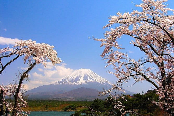Private Transport Mt Fuji and Hakone 1 Day Trip - Booking and Cancellation Policy