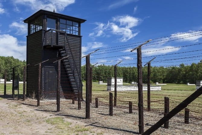 Private Transportation from Cruise Ship Port of Gdynia to Stutthof Camp 5-Hour - The Vehicle and Comfort Level