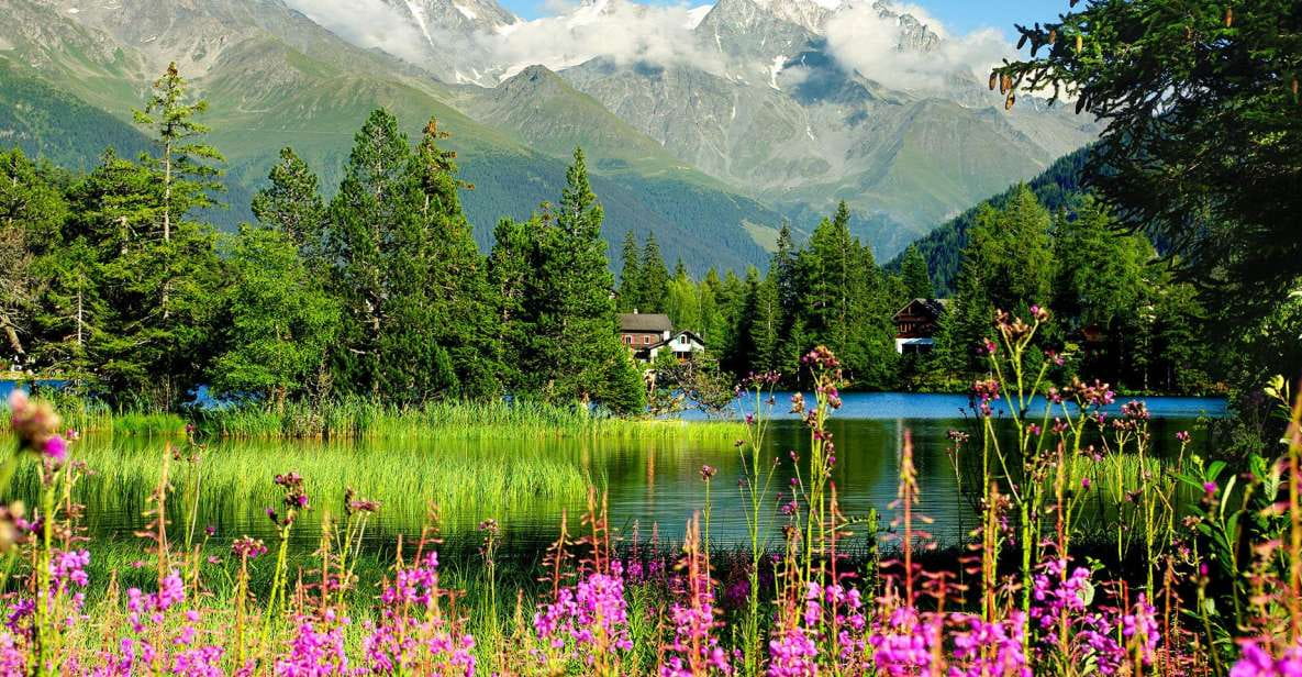 Private Trip From Geneva to Chamonix & Montreux - Highlights