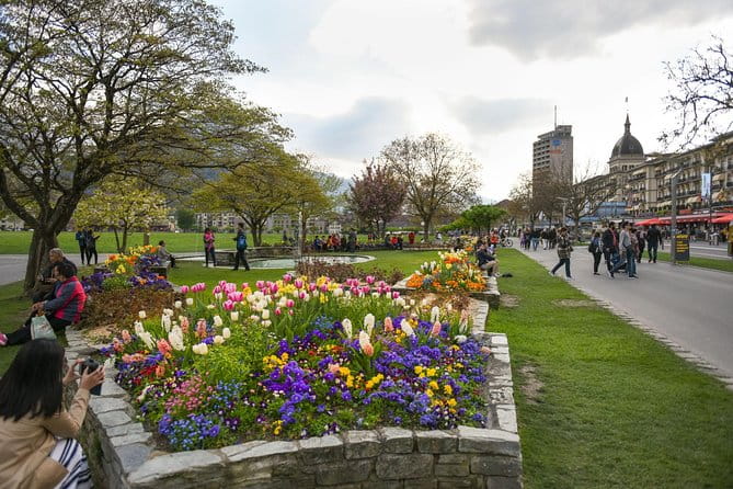 Private Trip from Geneva to Interlaken - Two Hours of Free Exploration: Discovering Interlaken