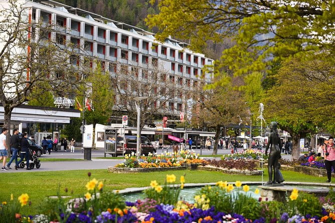 Private Trip from Geneva to Interlaken - Who is This Tour Ideal For?