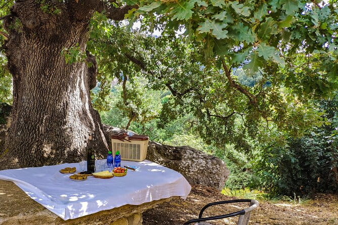 Private Trip Through the Heart of Crete, Picnic & Wine Tasting - FAQ