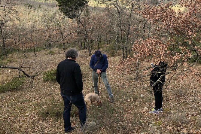 Private Truffle Hunt in Tuscany - Inside the Truffle Hunt: What to Expect