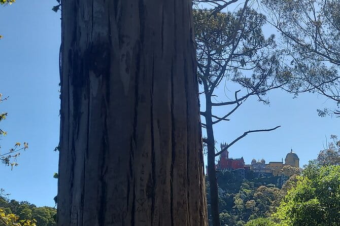 Private Tuk Tuk Tour around Magical Sintra and Coastline - Who Is This Tour Best Suited For?