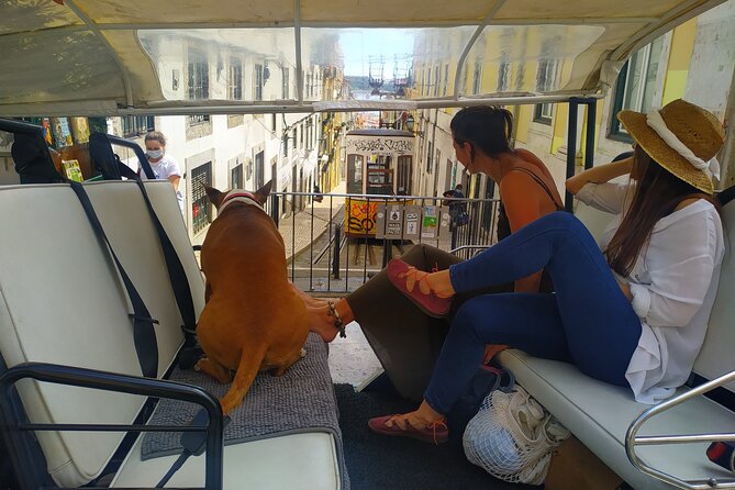 Private Tuk Tuk Tour in Old City Lisbon (Standard-1h30) - Reviews and Ratings