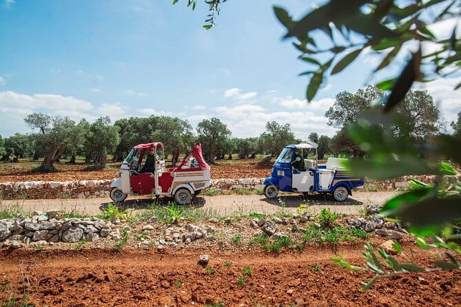 Private Tuk Tuk Tour of the Millenary Olive Groves in Ostuni - Exploring the Charm of Ostuni’s Olive Groves by Tuk Tuk