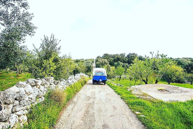 Private Tuk Tuk Tour of the Millenary Olive Groves in Ostuni - Who Will Love This Tour?