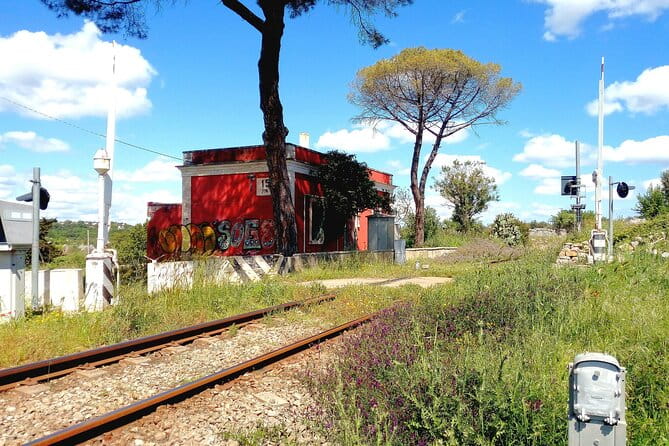 Private Tuk Tuk Tour of the Millenary Olive Groves in Ostuni - FAQs