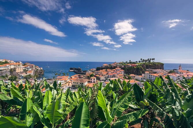 Private Tuk Tuk Tour on Câmara de Lobos, Fishing Village - Exploring the Heart of Funchal’s Lido’s New Town