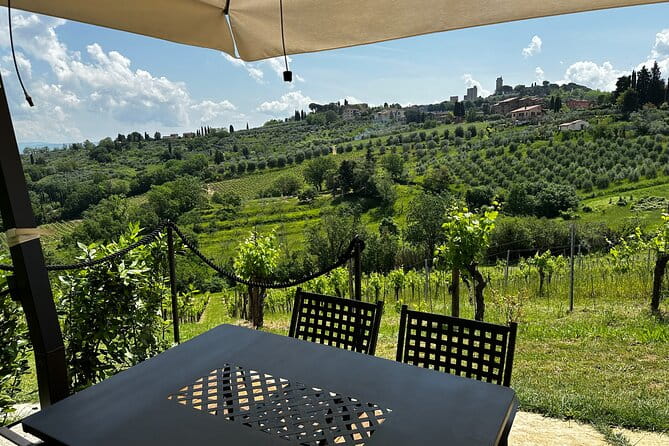 Private Tuscan Lunch with Wine & Evo oil tasting in the Vineyard - Discovering Tuscany Behind the Vineyards