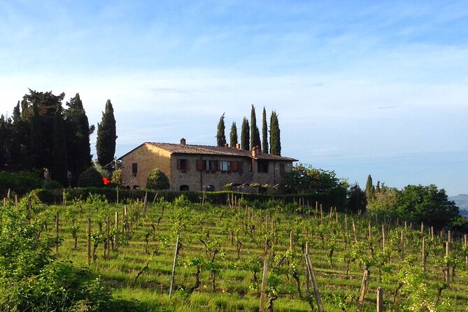 Private Tuscan Meal With Wine and Extra Virgin Olive Oil Tasting - Sampling Extra Virgin Olive Oils