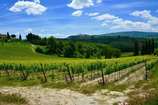 Private Tuscany Day Tour: San Gimignano and Chianti Wine Region from Florence - An In-Depth Look at the Experience