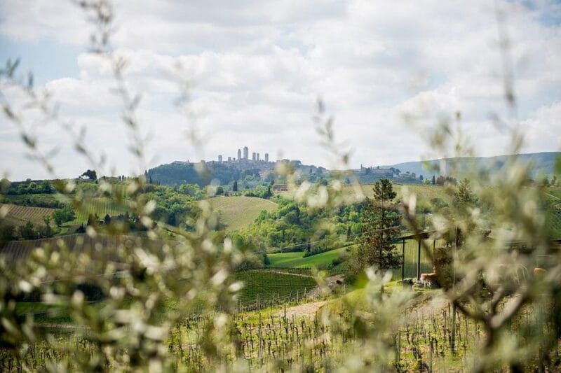 Private Tuscany Tour to Siena and San Gimignano with Lunch - Siena’s Timeless Appeal