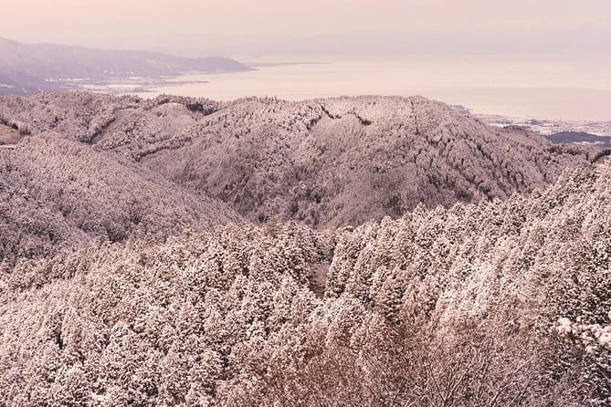 Private & Unique Kyoto Cherry Blossom Sakura Experience - Accessibility and Participation Details