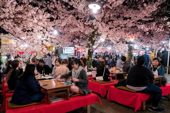 Private & Unique Kyoto Cherry Blossom Sakura Experience - Traveler Testimonials and Feedback