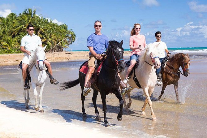 Private V.I.P Sightseeing, Shopping and Beach Tour - Main Attractions