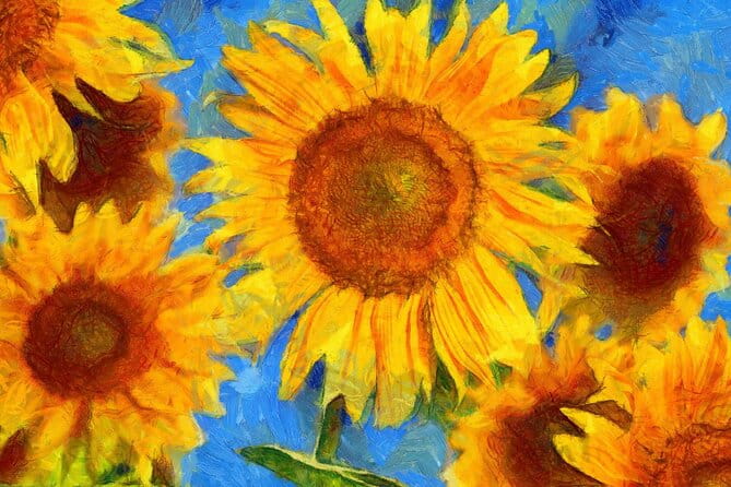 Private Van Gogh Museum Tour in Amsterdam - Price, logistics, and what you get