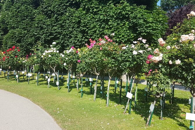 Private Vienna Sightseeing Tour matching to personal interests - Who Will Love This Tour?