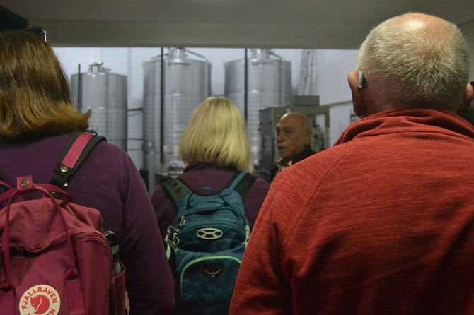 Private Vinho Verde Region Wine Tour from Porto Including Lunch - Who Is This Tour Best For?